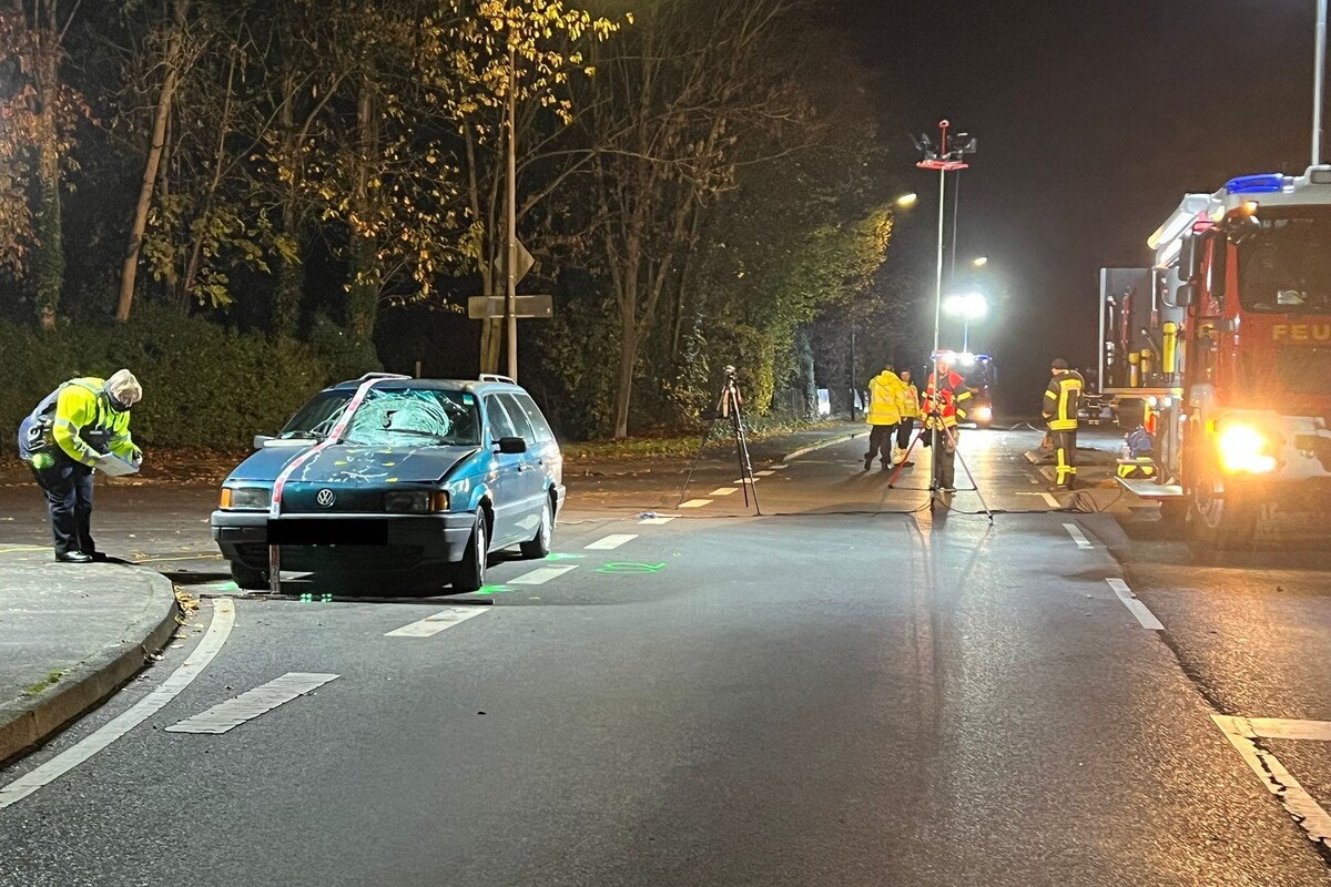 Verkehrsunfall endet tödlich Auto erfasst Fußgängerin und Hund