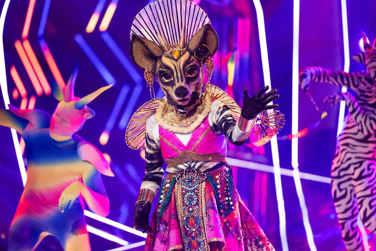 The Masked Singer Alle Masken enthüllt ESC Legende steckte im Okapi