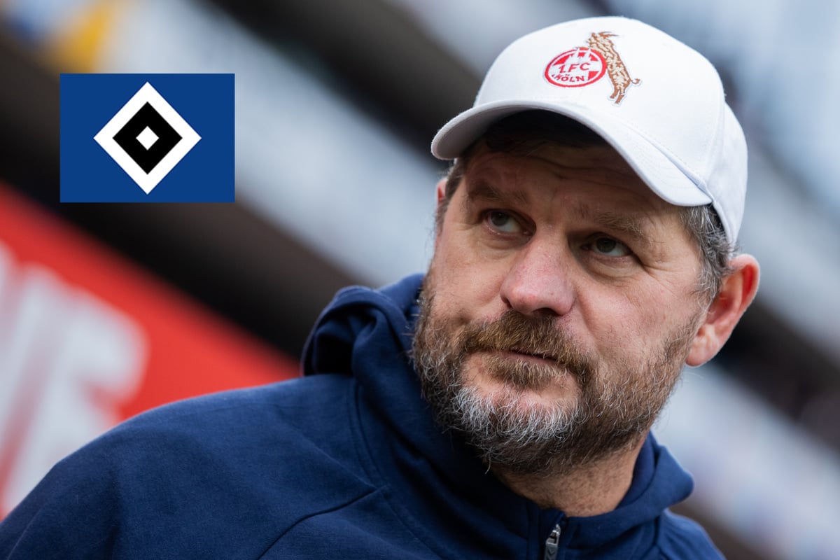 Steffen Baumgart Wohl Neuer HSV Trainer Fans Reagieren Toni Kroos Witzelt