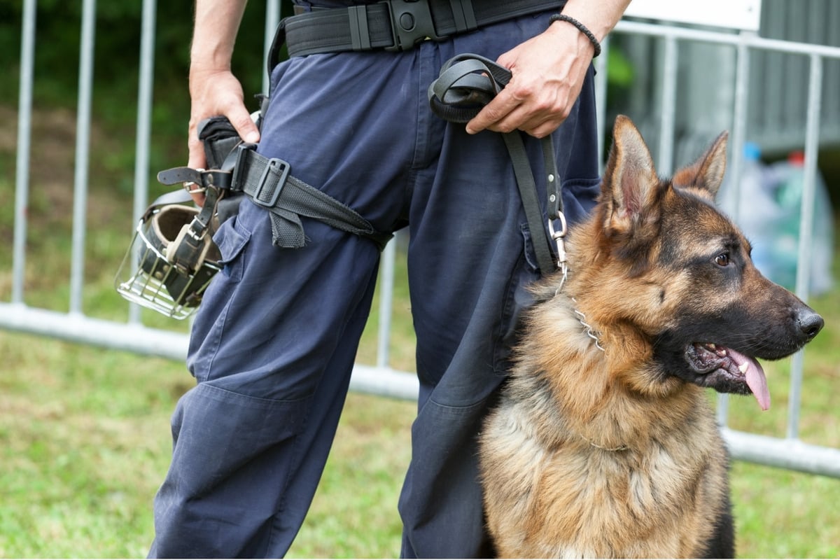 Grenze Zu Polen Und Tschechien Polizeigewerkschaft Gegen Bestimmte