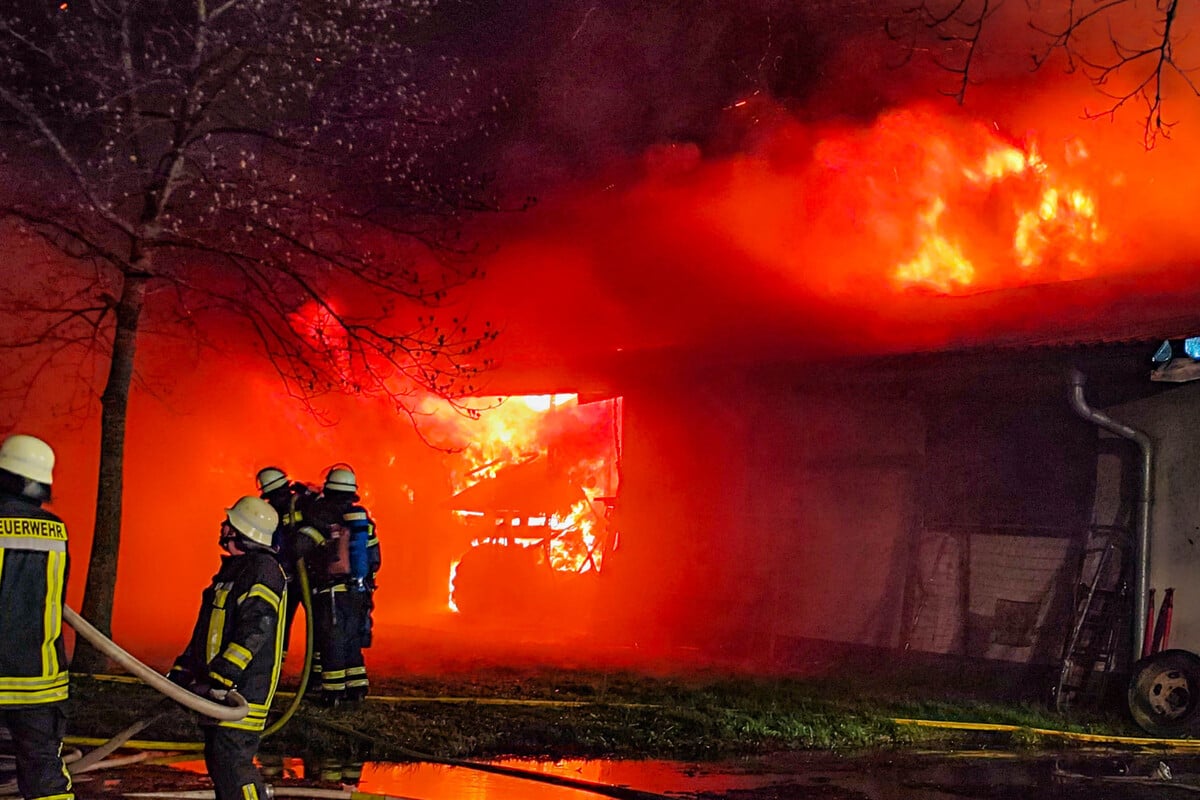 B Hl Als Lagerhalle In Flammen Steht Bangen Hunderte Schafe Um Ihr Leben