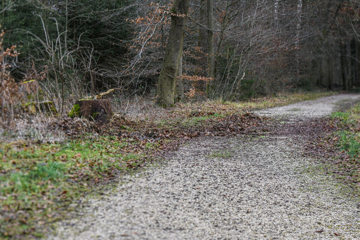 Ulm Von Freund attackiert 15 Jährige stirbt nach Würgeangriff