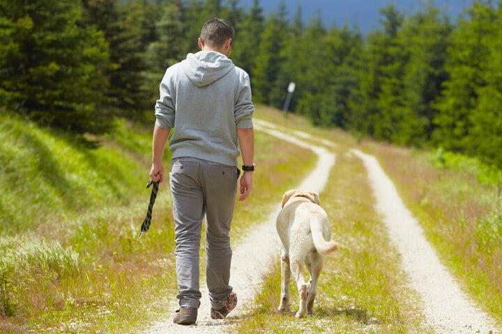 Mann Will Nur Mit Seinem Hund Spazieren Gehen Am Ende Ist Er Million R