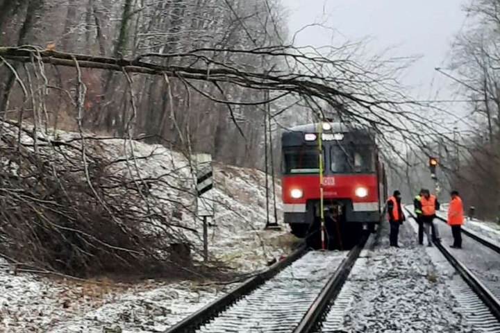 Erhebliche Einschr Nkungen F R M Nchen Baum Kracht In Oberleitung