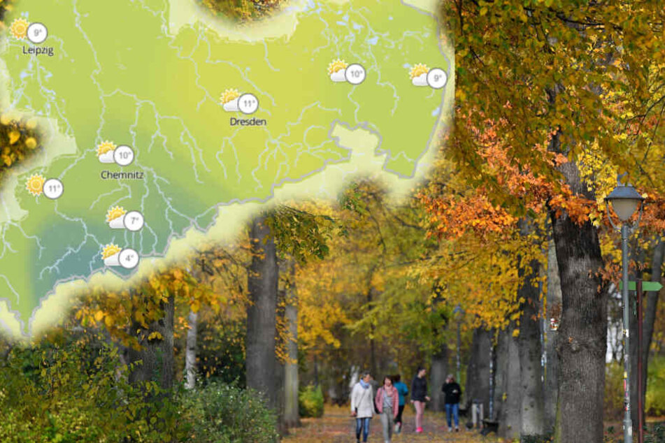 Die letzten Tage bei milden Temperaturen sollte man noch genießen.