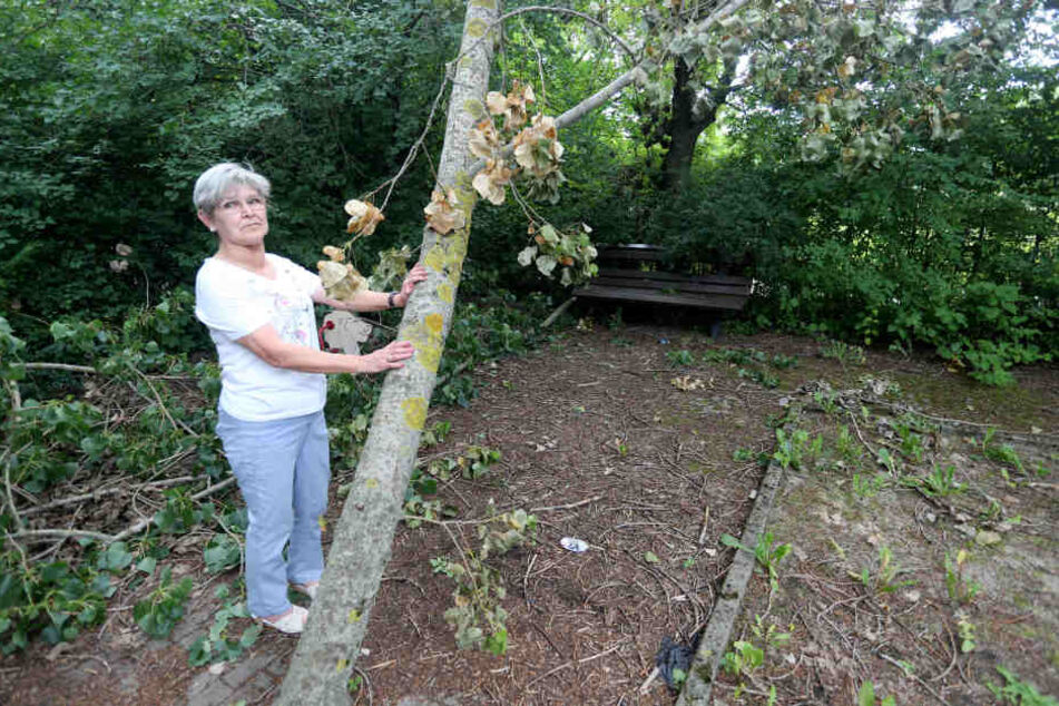 Anwohnerin Margitta Kramer (68) kämpft seit Jahren dafür, dass sich endlich jemand um den vergammelten Spielplatz kümmert.
