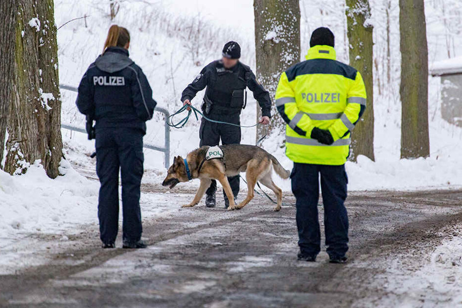 Neben Kriminaltechnikern und Brandursachenermittlern kam auch ein Fährtensuchhund zum Einsatz.
