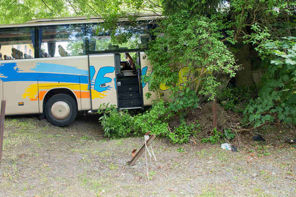 Der Bus mit 49 Insassen krachte gegen einen Baum.