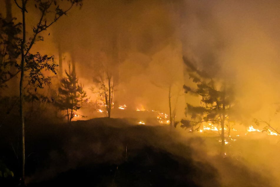 Die Waldbrandgefahr steigt in Teilen NRWs auf die höchste Stufe. (Symbolbild)