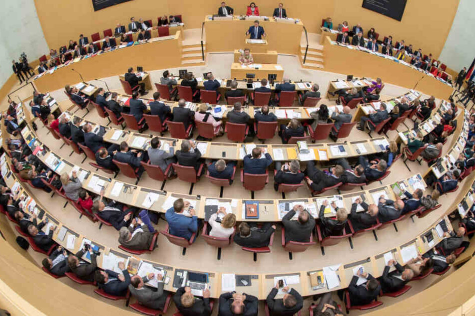 Der Landtag berät über ein Gesetzespaket für mehr Umwelt-, Natur- und Artenschutz.