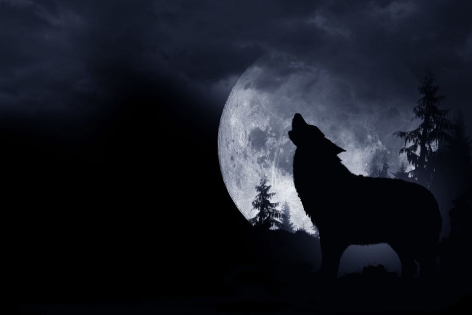 Der Mond erscheint uns ungefähr 14 Prozent größer und 30 Prozent heller als ein typischer Vollmond.