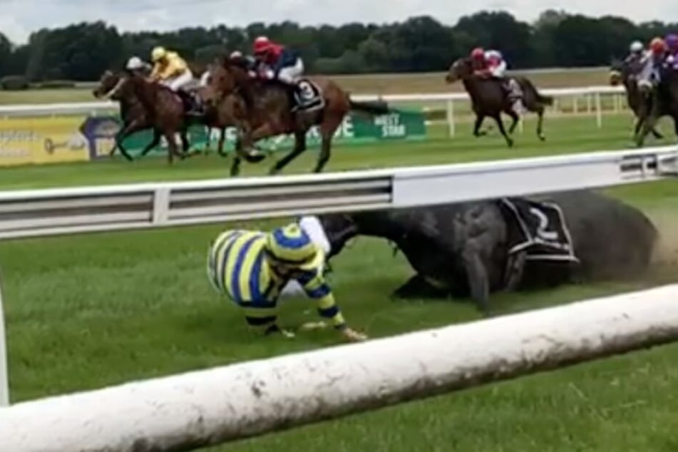 Das Pferd brach sich das Bein und stürzte, der Jockey wurde auf den Boden gewirbelt und überstand den Sturz unbeschadet. Das Pferd musste eingeschläfert werden.