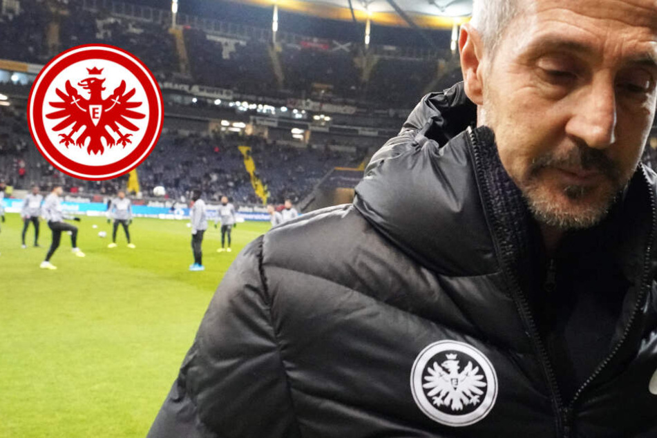 2:4-Klatsche gegen Köln: Eintracht-Trainer nennt seine Mannschaft 