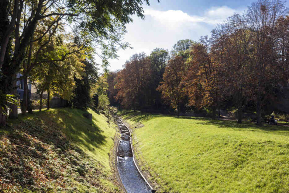 Im Saale-Nebenarm Klia im Merseburger Stadtpark ist am Dienstag eine Frauenleiche gefunden worden.
