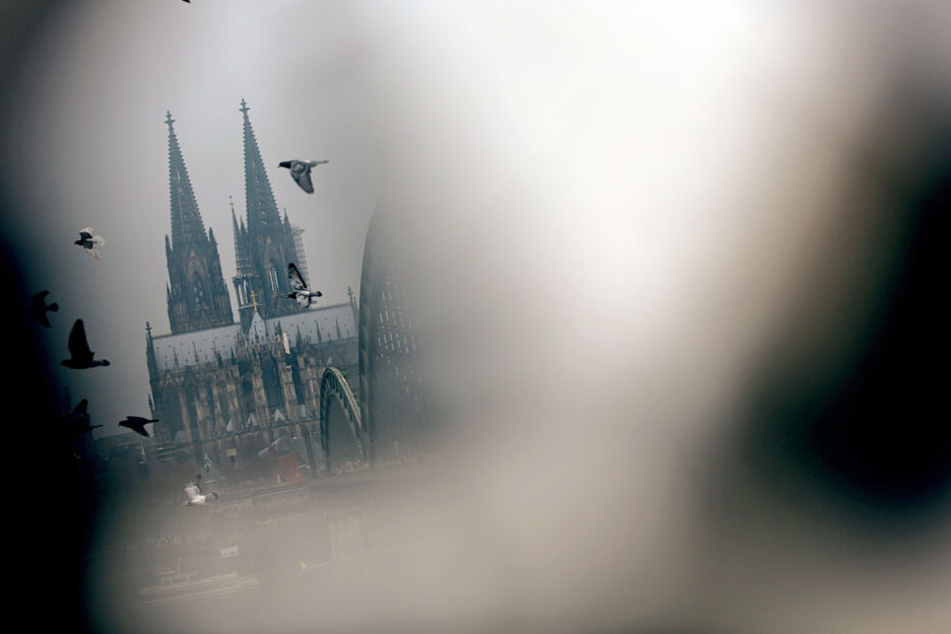 Tauben fliegen vor dem Kölner Dom entlang.