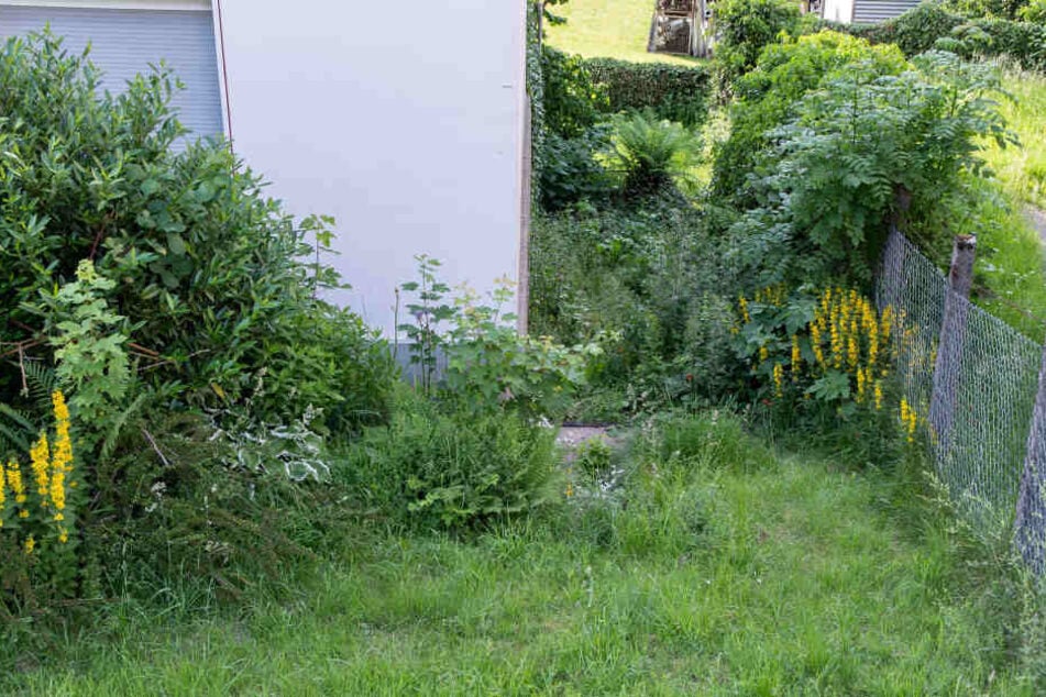 Der Fundort eines neugeborenen Mädchens, das dort in einem zugeknoteten Müllsack abgelegt worden war.