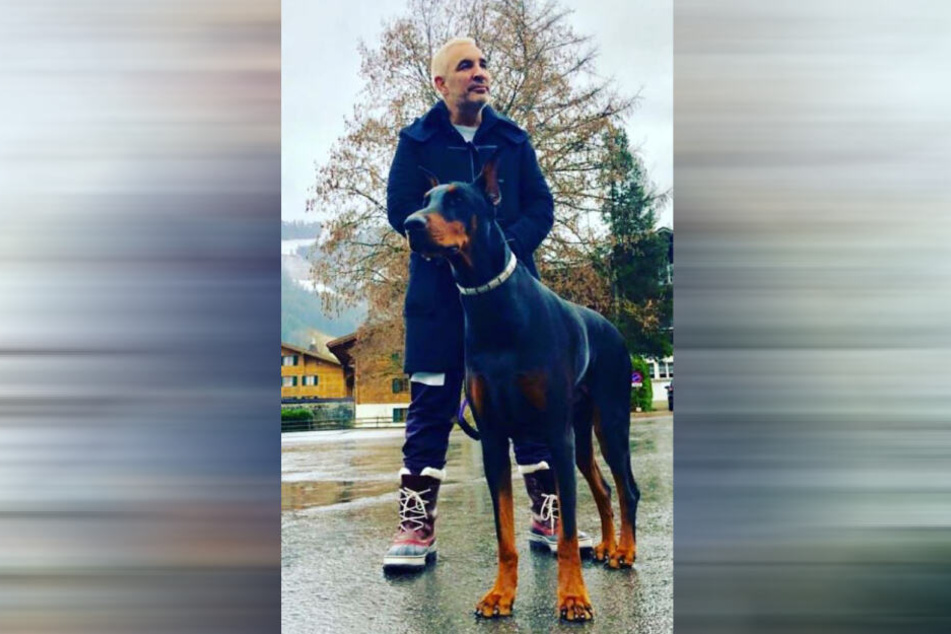 Alki David (51) liebt seine Hunde.