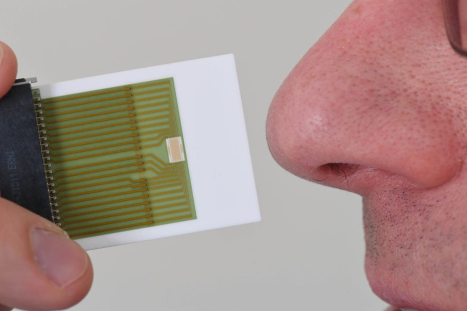 Der Sensor im Vergleich zu einer menschlichen Nase.