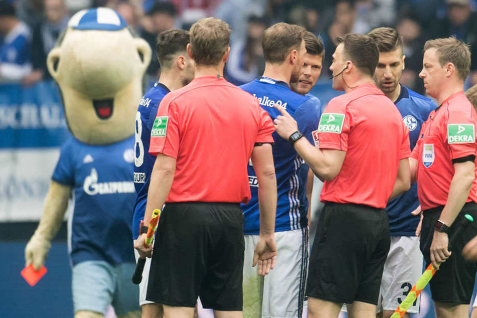 Der Moment, als sich Maskottchen Erwin Schiri Zwayer mit einer Roten Karte nähert.