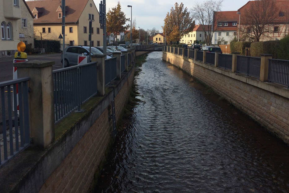 In Niedersedlitz wurde eine tote Ente gefunden. Nun besteht der Verdacht auf die gefährliche Vogelgrippe.