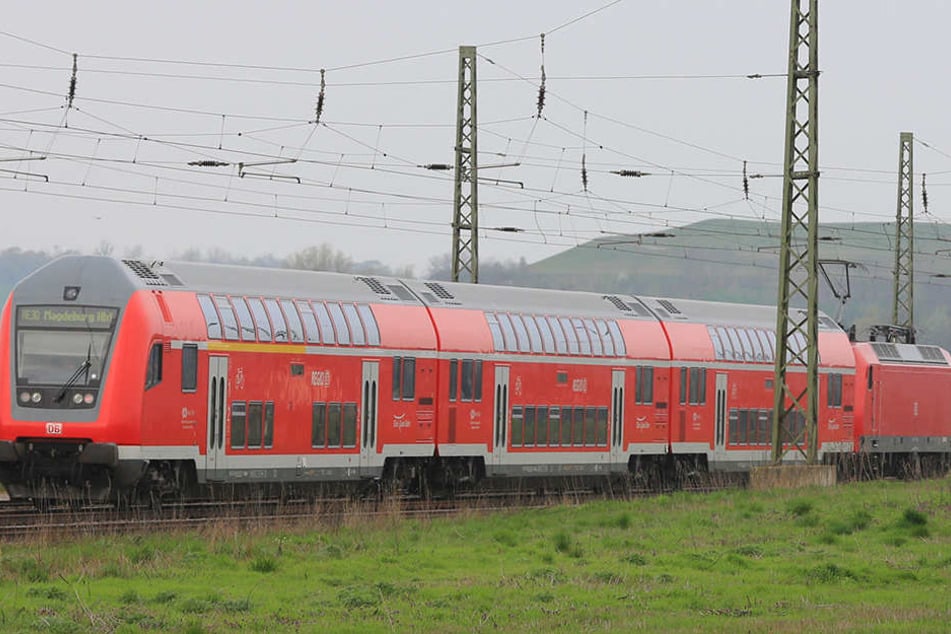 Die ganze Ziegenherde wurde vom Zug erfasst (Symbolbild)