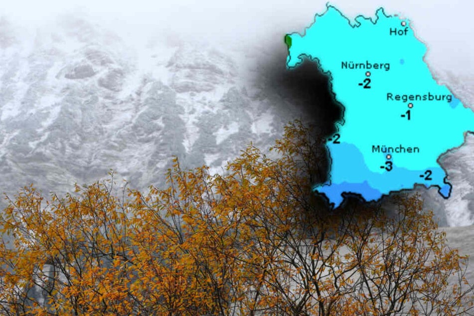 Ein herbstlich gefärbter Baum steht vor schneebedeckten Bergen. In Bayern sinken die Temperaturen unten den Gefrierpunkt. (Bildmontage)