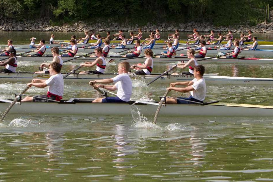 Auf der Donau in Linz-Ottensheim geschah das Unglück kurz vor Start der Ruder-Wm am Sonntag. (Symbolbild von 2014)