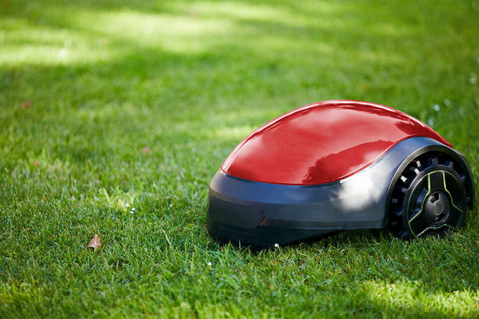 Mit ihren scharfen Klingen sind Mähroboter für Kleinkinder extrem gefährlich.