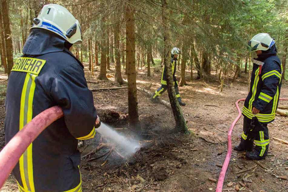 Höchste Waldbrandgefahr in
Sachsen. Die Feuerwehr musste bereits löschen.