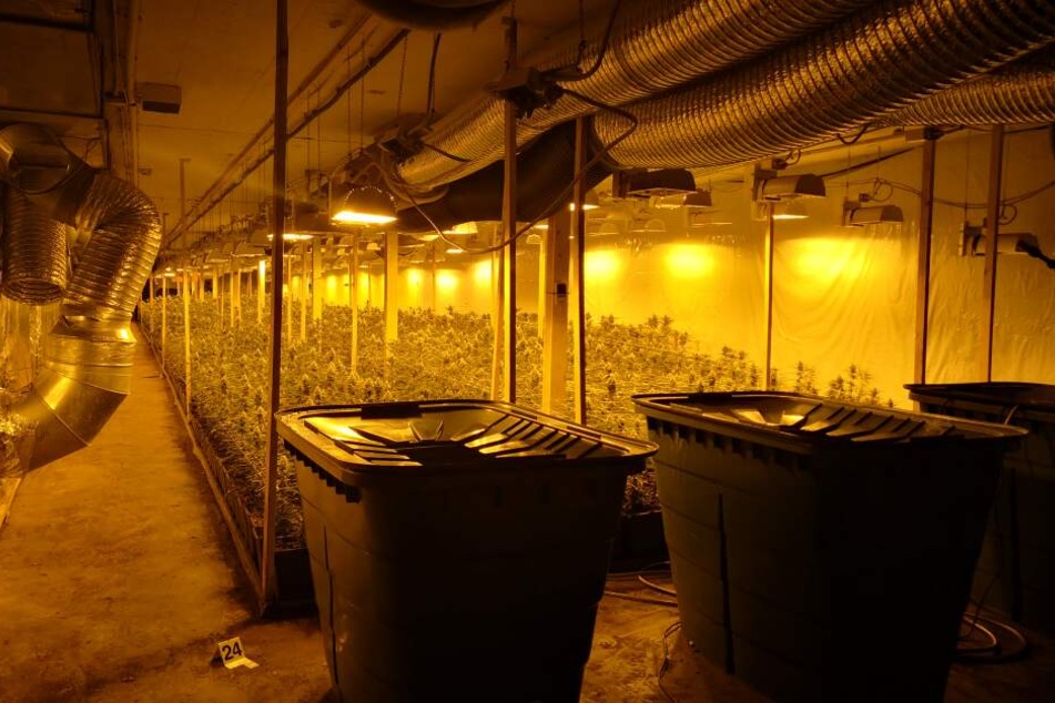 Bunker-Plantage: An professionellem Equipment hat es den Tätern scheinbar nicht gemangelt.