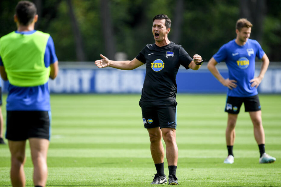 Ante Covic (m.) geht in die erste Saison als Cheftrainer der Hertha.