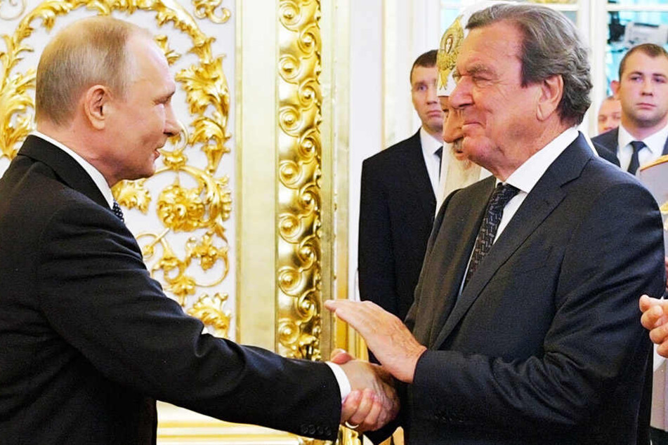 Altbundeskanzler Gerhard Schröder (r.) wird heute Ehrengast seines Freundes Wladimir Putin (l.) sein.