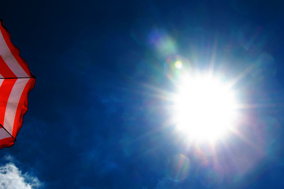 Pralle Sonne und Temperaturen bis zu 30 Grad! Der Sommer feiert nächste Woche ein Hammer-Finale!