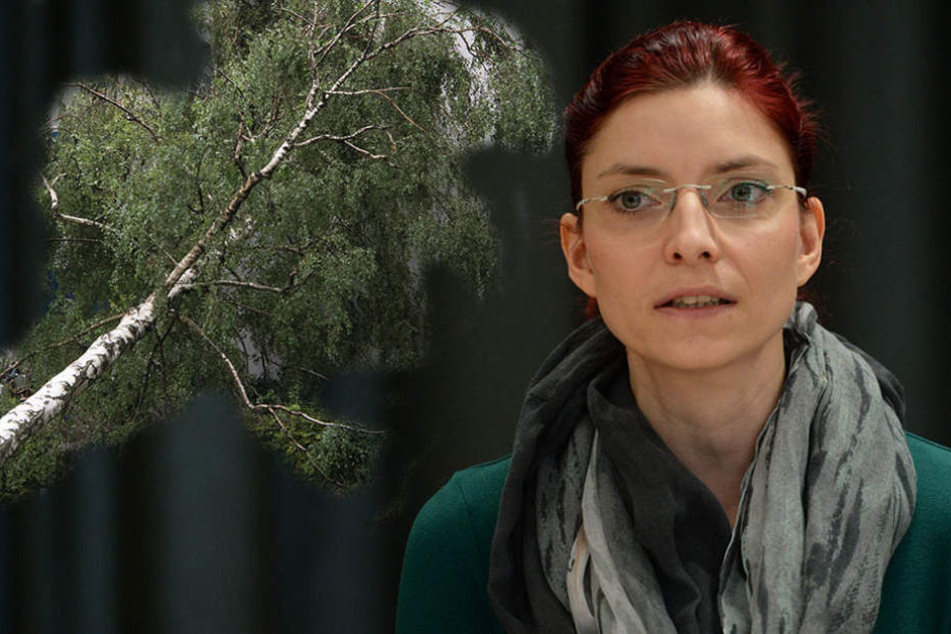 Anfang August wurde Diana Golze während eines Unwetters auf einem Campingplatz von einem Baum getroffen, der umstürzte.