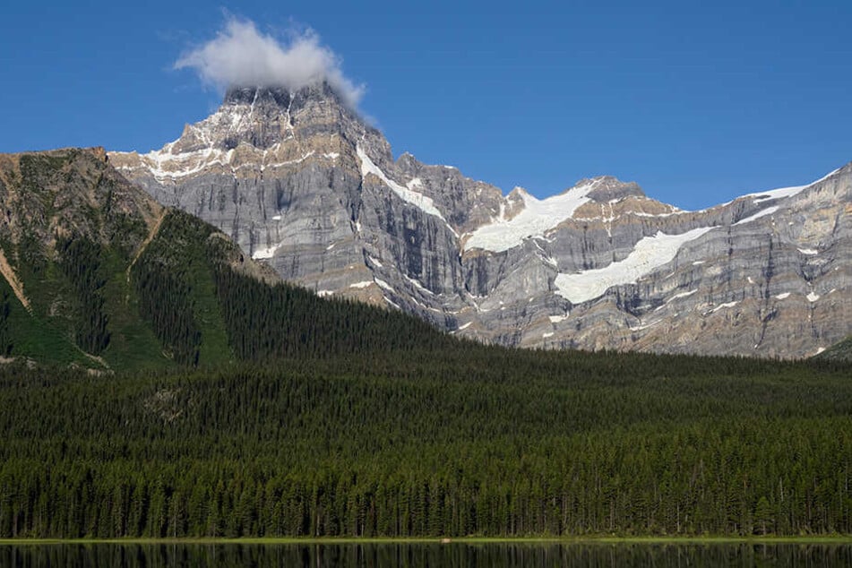 In den kanadischen Rocky Mountains sind die Leichen der drei verunglückten Extremsportler Hansjörg Auer, David Lama und Jess Roskelley gefunden worden.