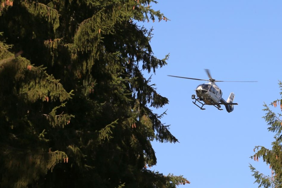 Neben dem Hubschrauber wurde auch ein Spürhund eingesetzt. (Symbolbild)