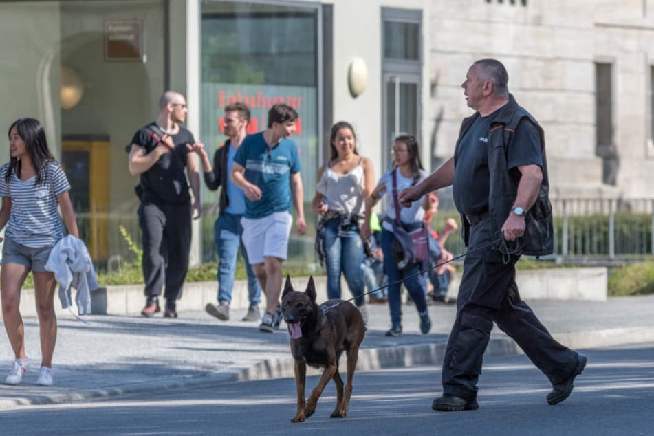 Auch Spürhunde kamen bei der Bombendrohung zum Einsatz.