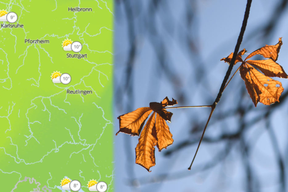Im Südwesten gibt es bei den Temperaturen in den nächsten Tagen eine große Spanne.