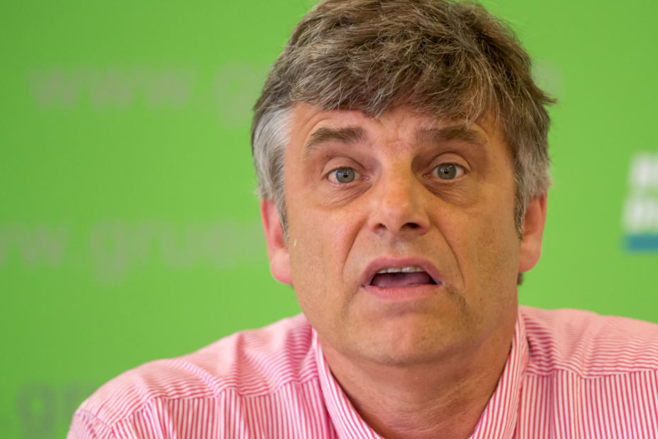 Rainer Wernicke kandidiert nicht mehr für den Landessprecher der Grünen.