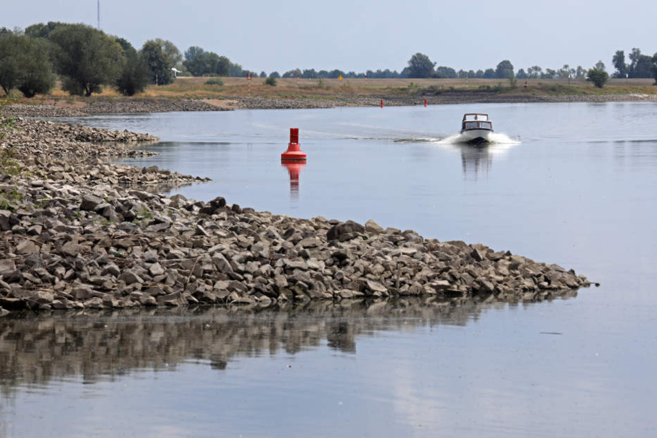 Boote können auf der Elbe bei Dömitz in Mecklenburg-Vorpommern kaum noch fahren.