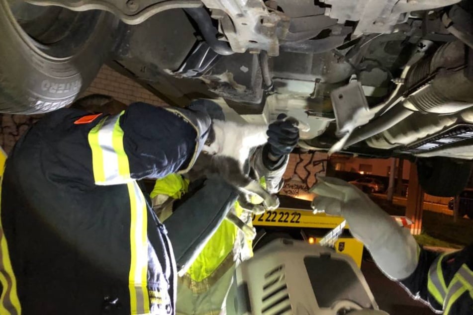 Die Retter der Feuerwehr mussten einige Teile des Unterbaus des Pkw entfernen um die Katze schließlich zu retten.