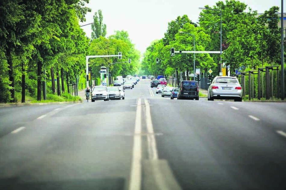 Die Winterbergstraße östlich des Großen Gartens wird auf gut 1000 Metern für
Radfahrer ausgebaut. Statt vier Spuren hat sie künftig nur noch zwei überbreite
Spuren.