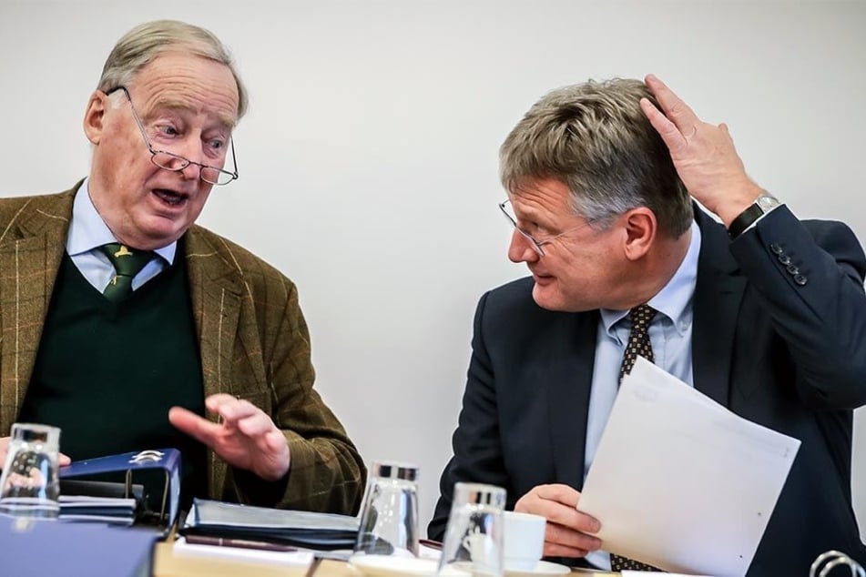 Die AfD-Vorsitzenden Alexander Gauland (77) und Jörg Meuthen (56)