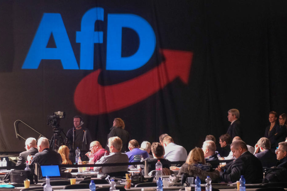 Beim AfD-Europa-Parteitag wird über den Leitantrag entschieden.