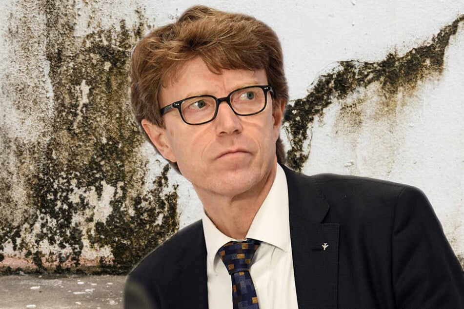 Als hätte BER-Chef Daldrup nicht schon andere Sorgen, nun kommt noch Schimmel hinzu. (Bildmontage)