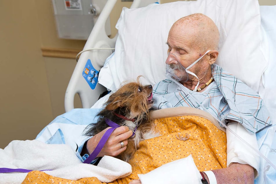 Vietnam Veteran John Vincent nimmt von seinem Hund Patch Abschied.