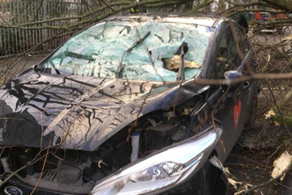 Ihr Auto wurde von dem Baum komplett zerstört.
