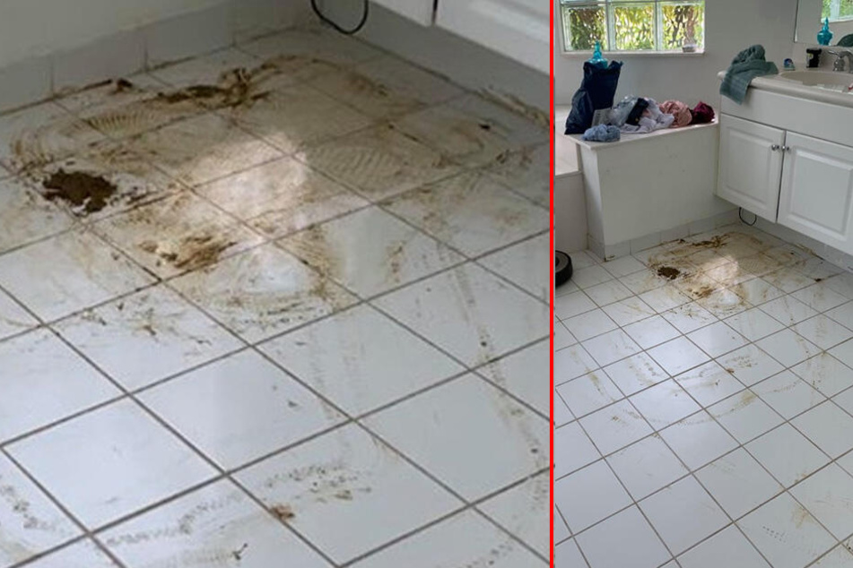 Nicht nur das Bad, sondern die ganze Wohnung war mit Fäkalien verschmiert.