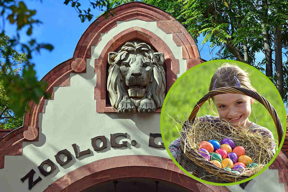Der Leipziger Zoo lädt zum großen Oster-Spektakel ein!