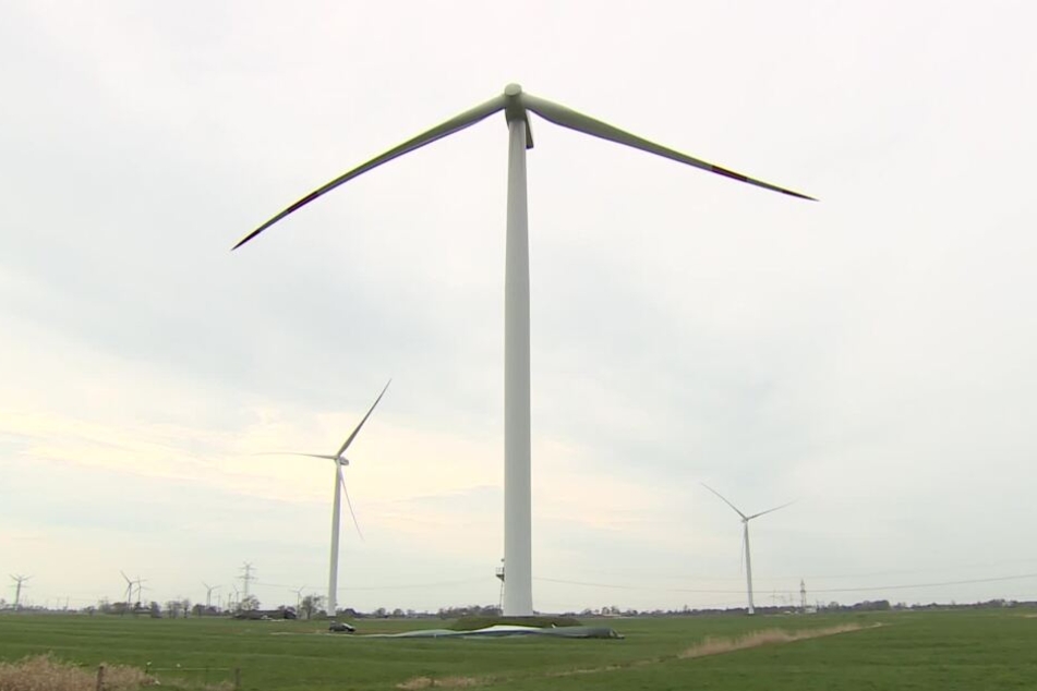 Ein Flügel des Windrades in Nortorf hat sich in der Nacht gelöst und ist auf dem Acker gelandet.